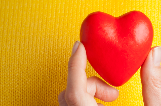Someone holding up a toy heart to their chest